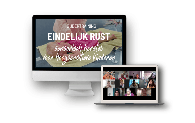 Mockup of the Confidence Care Strategies online course shown on a desktop and laptop screen