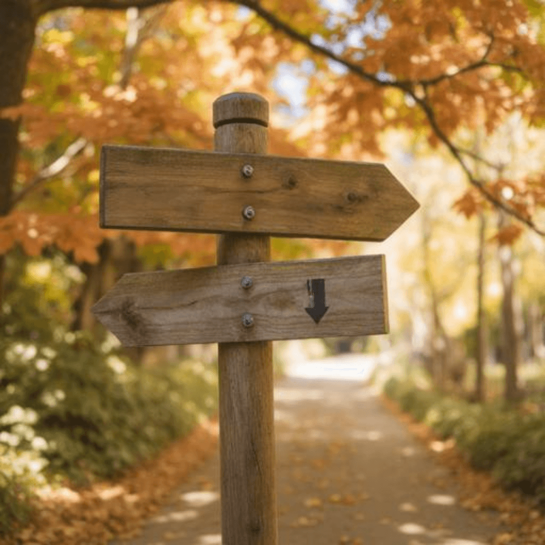 chemin dans la montagne avec panneaux directionnels symbolisant les nouveaux choix permis par la PNL.