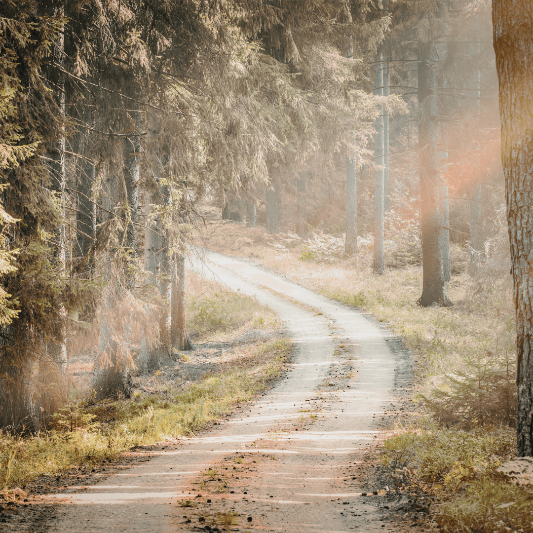 chemin dans la montagne avec panneaux directionnels symbolisant les nouveaux choix permis par la PNL.