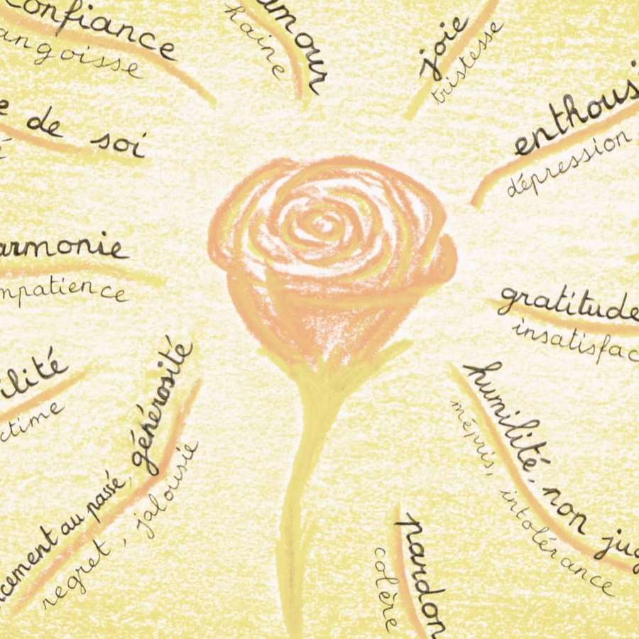 12 méditations sur le coeur
