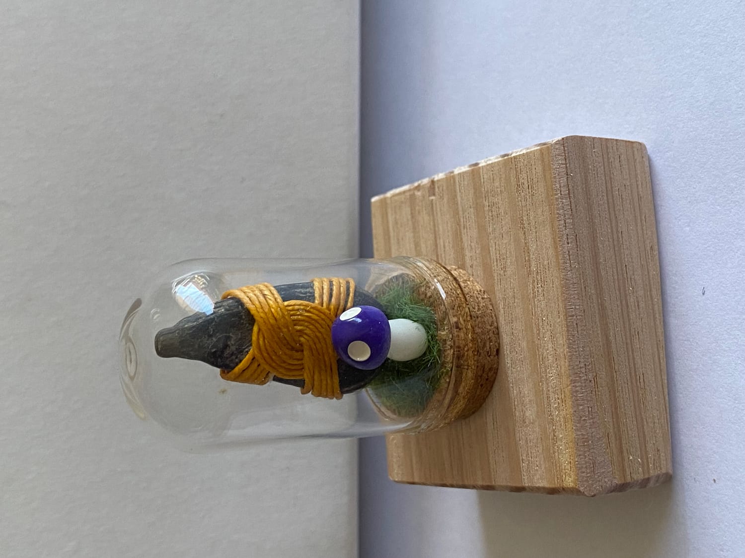 Curio Collectors Dome