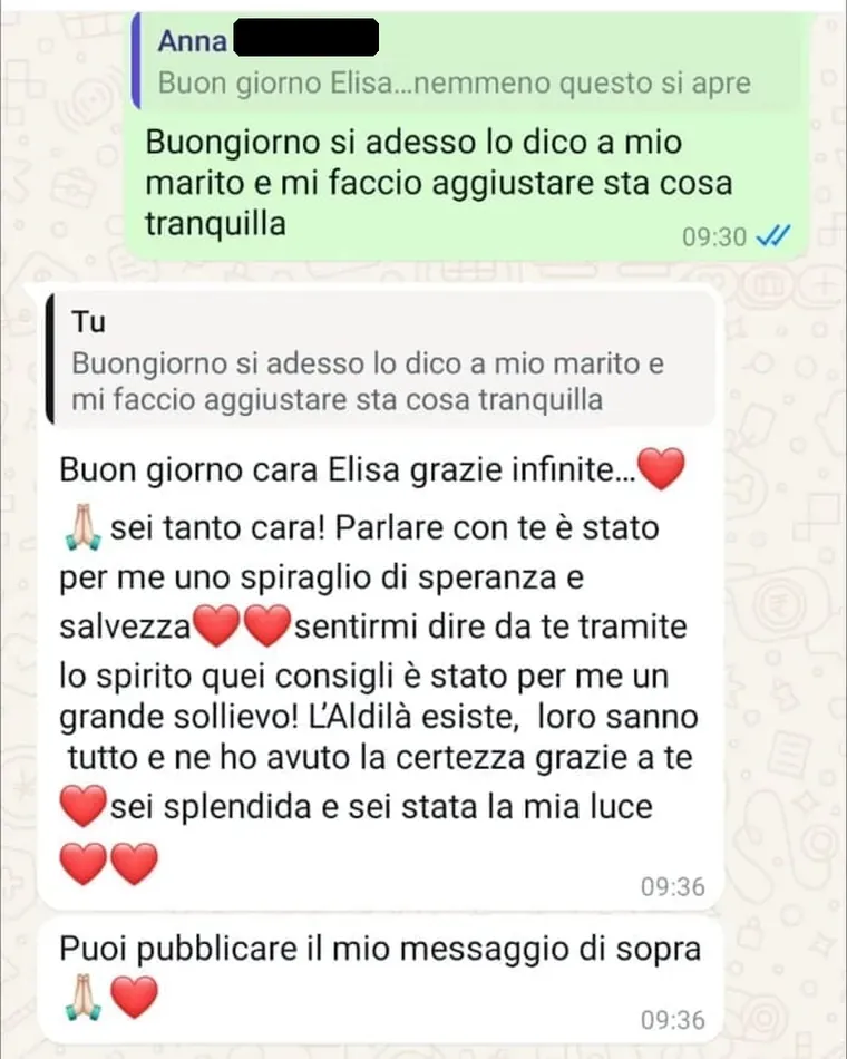 Screenshot del messaggio di Anna