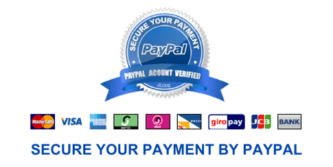 paypal on dbsolution.pro