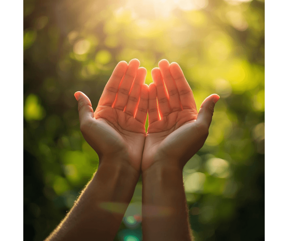 Rechargez votre vitalité