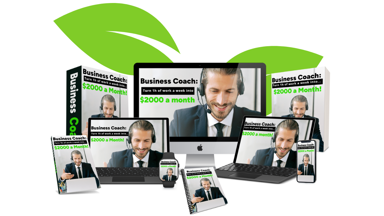 Business Coach: Turn 1h of work a week into $2,000 a month course cover