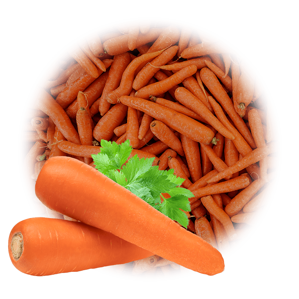 gesund pro