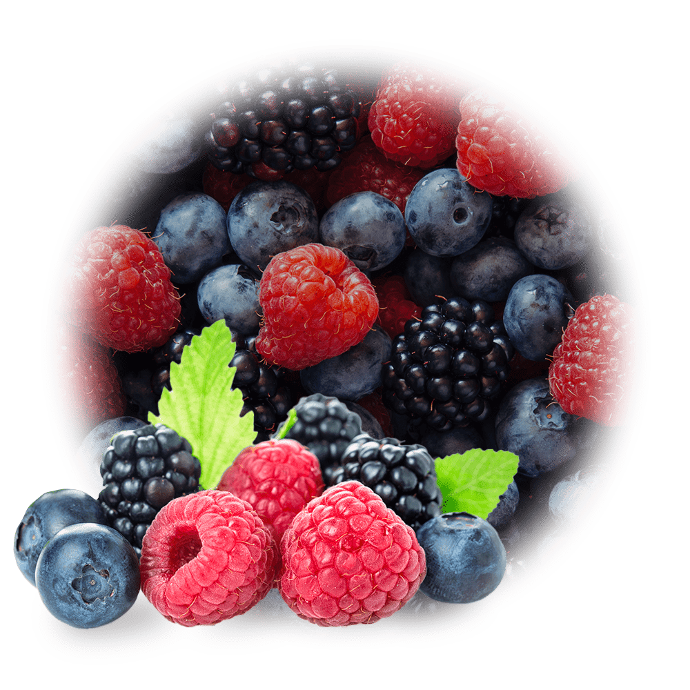 gesund pro