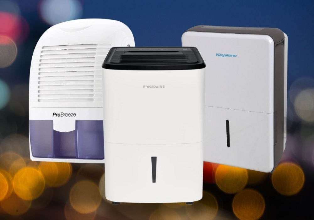 Dehumidifiers vs. Humidifiers Which One Do You Need?