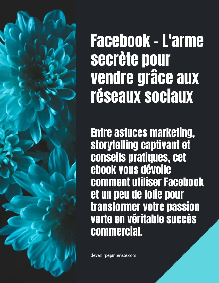 Facebook : vendre grâce aux réseaux sociaux