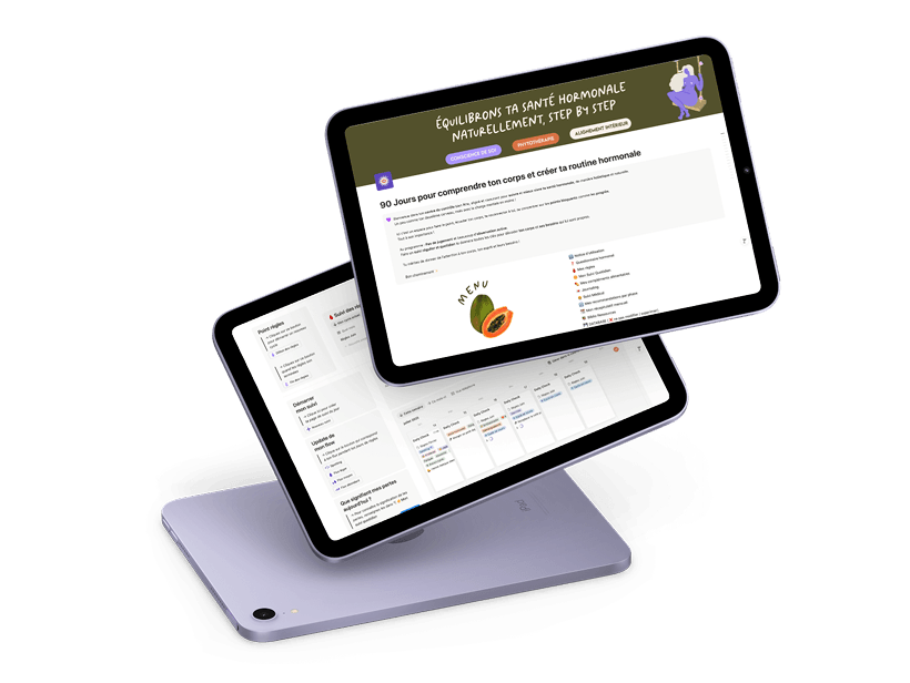 Écran d'accueil du template de suivi de santé hormonale my holy care 