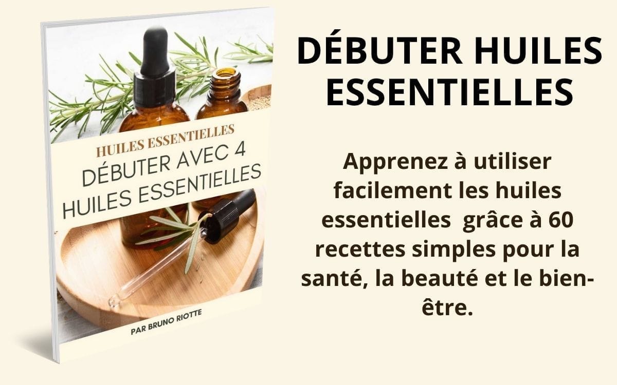 Débuter avec 4 huiles essentielles — tea tree, lavande, menthe poivrée, ylang-ylang