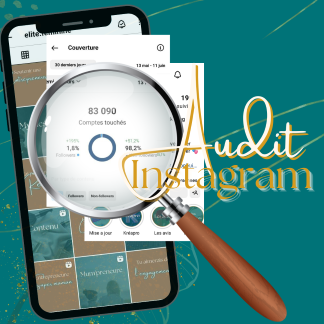 Audit Insta