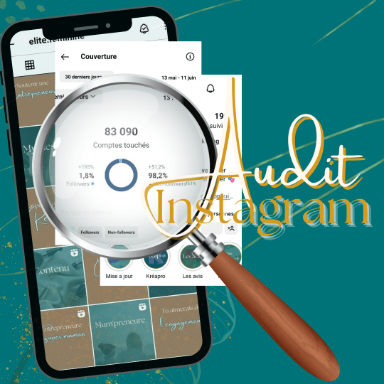 audit Instagram