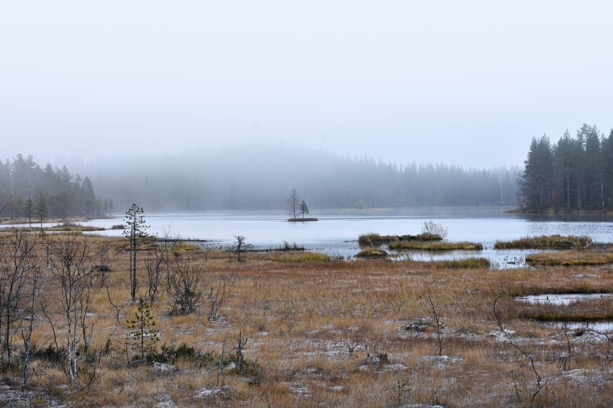 Maisema 2