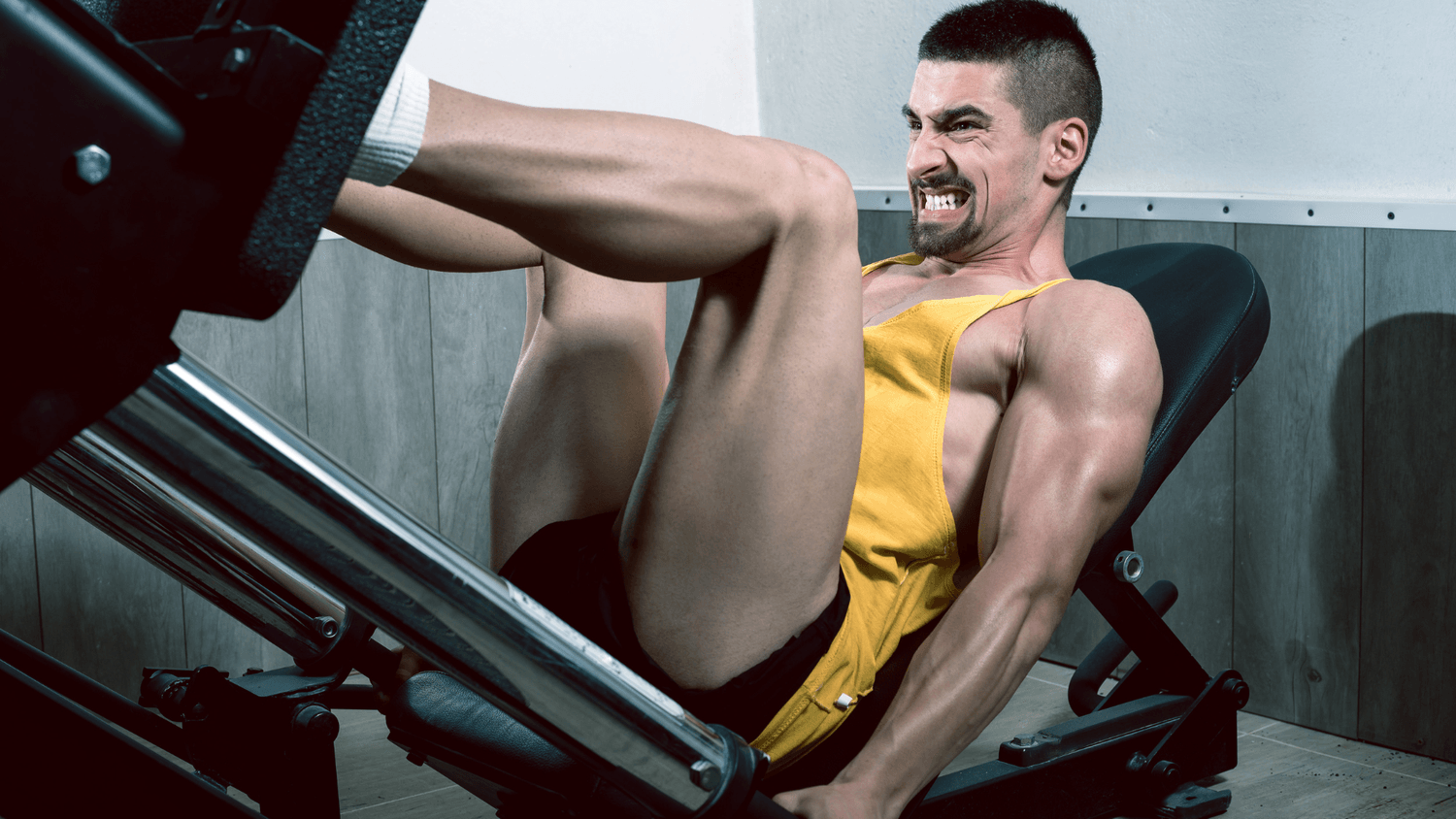 leg press