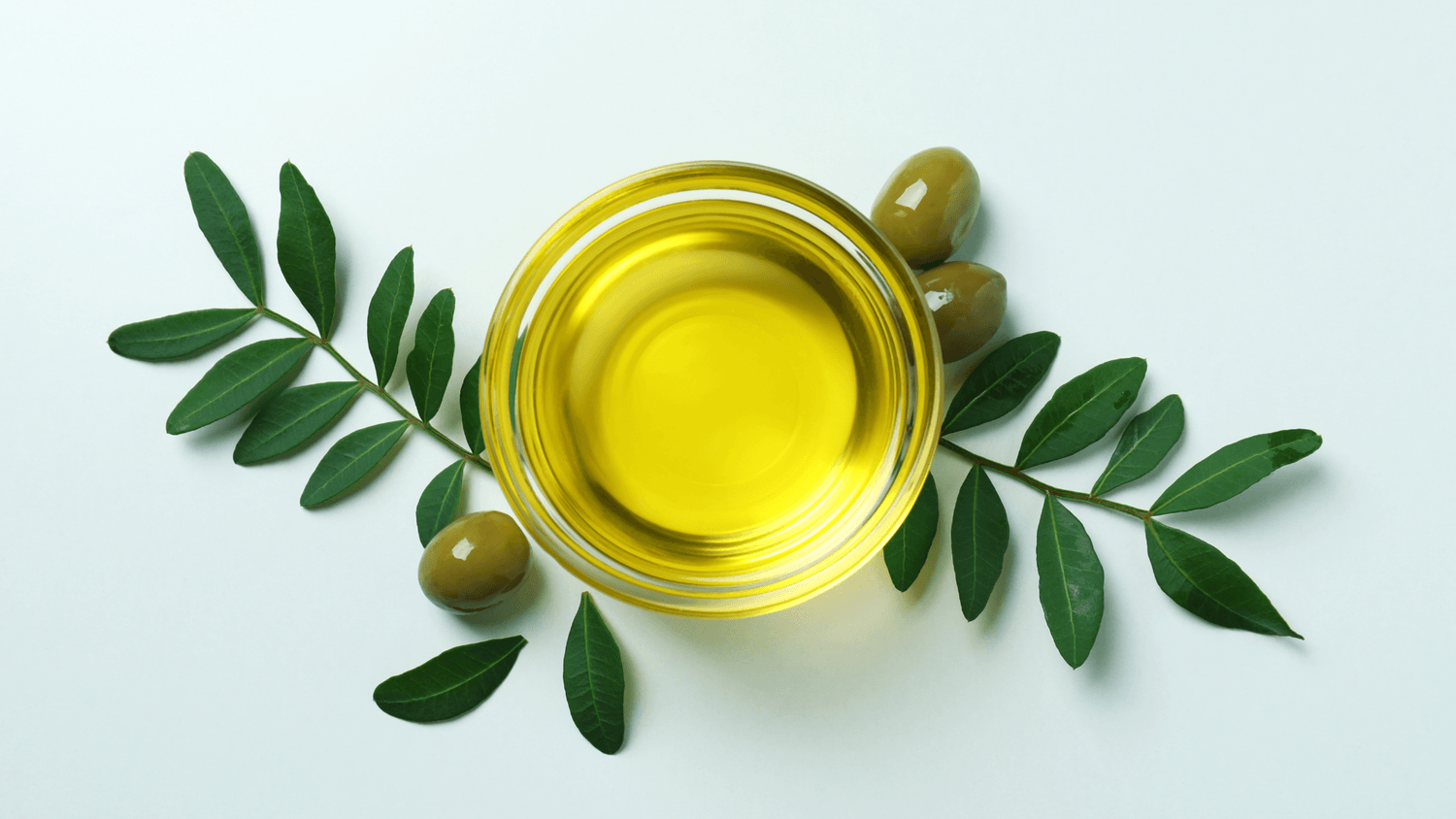 olive extract