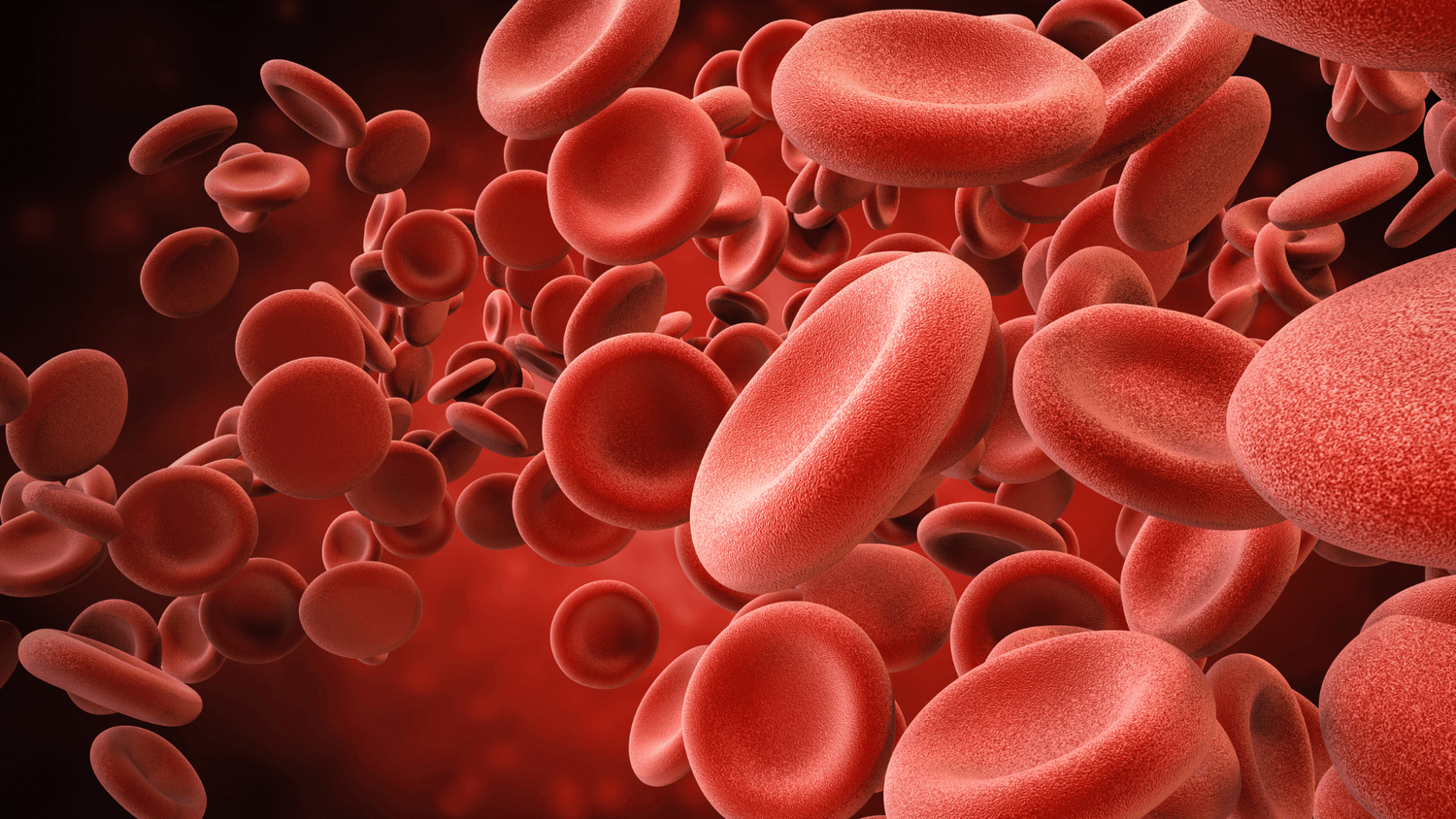 blood circulate