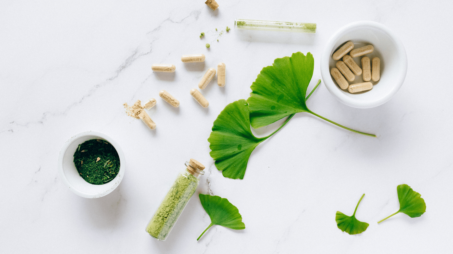 ginko biloba powder