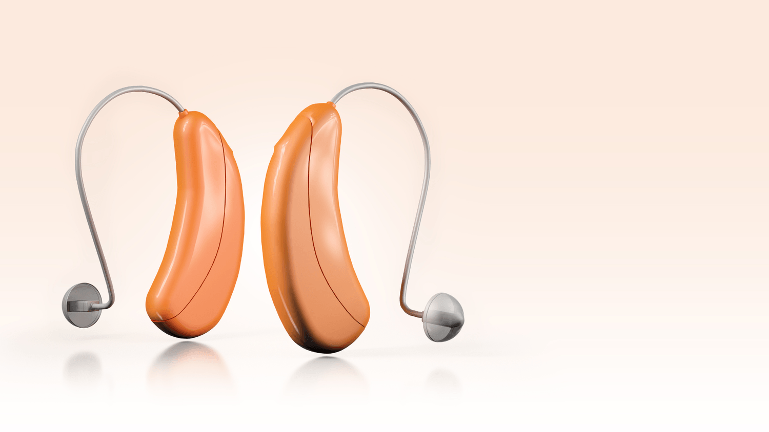 hearing aid