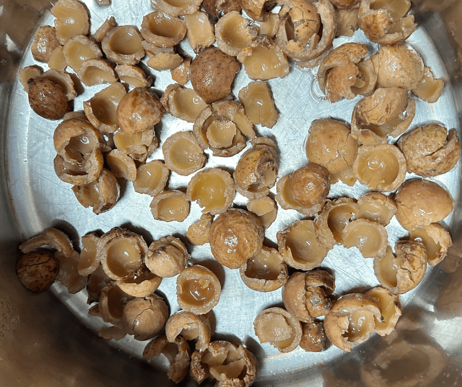 Image of soap nuts after straining liquid off 
