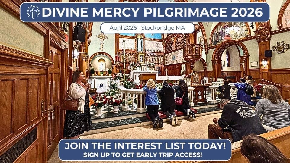 filipino travel agency tour to divine mercy 