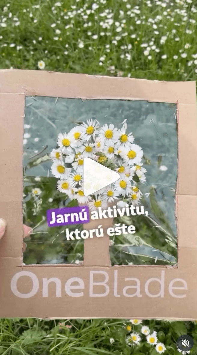 aktivity pro deti, kvetiny, aktivity z kvetu