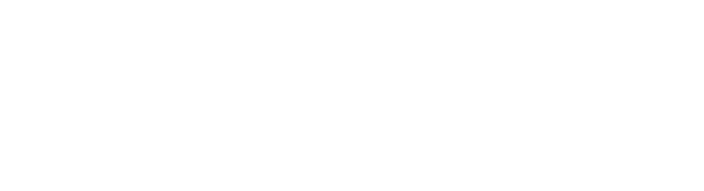 Fastlane Marketing