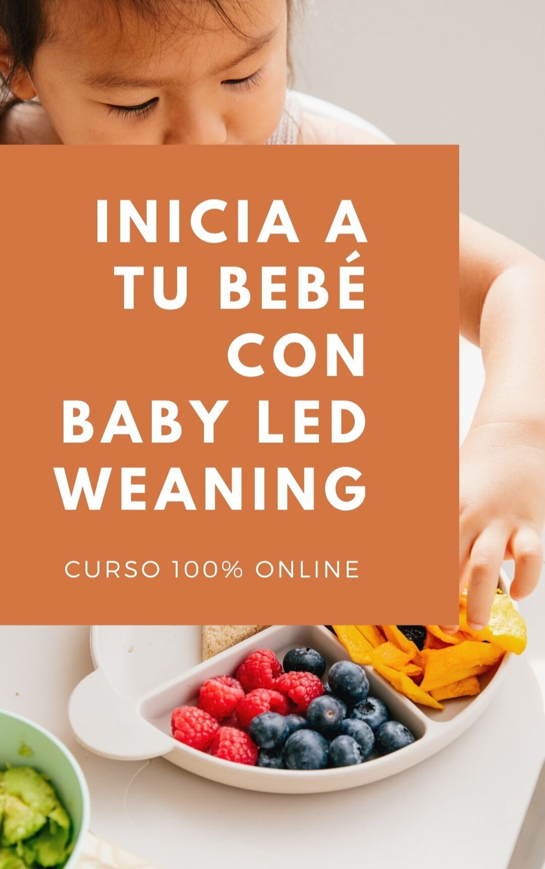 inicia a tu bebé con Baby led Weaning curso 100% online