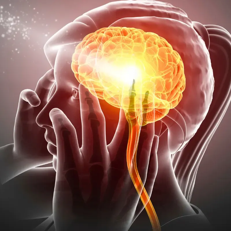 Mind-body connection illustration, representing neuroplastic conditions like fibromyalgia, headaches, and IBS.