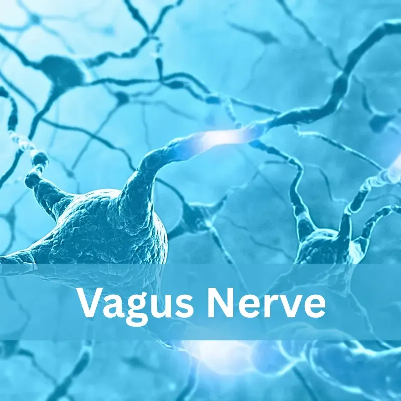 Women over 50 practicing vagus nerve stimulation techniques for emotional well-being and stress relief