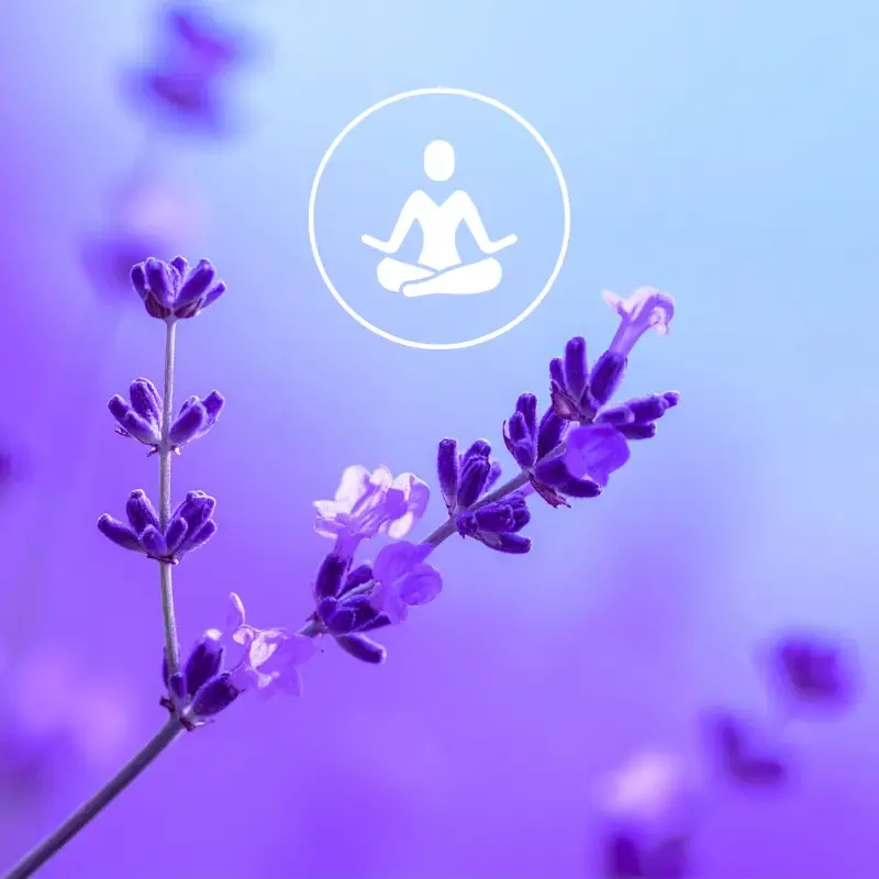 Free pocket guide for women over 50 featuring 5-minute rituals for instant calm and peace.