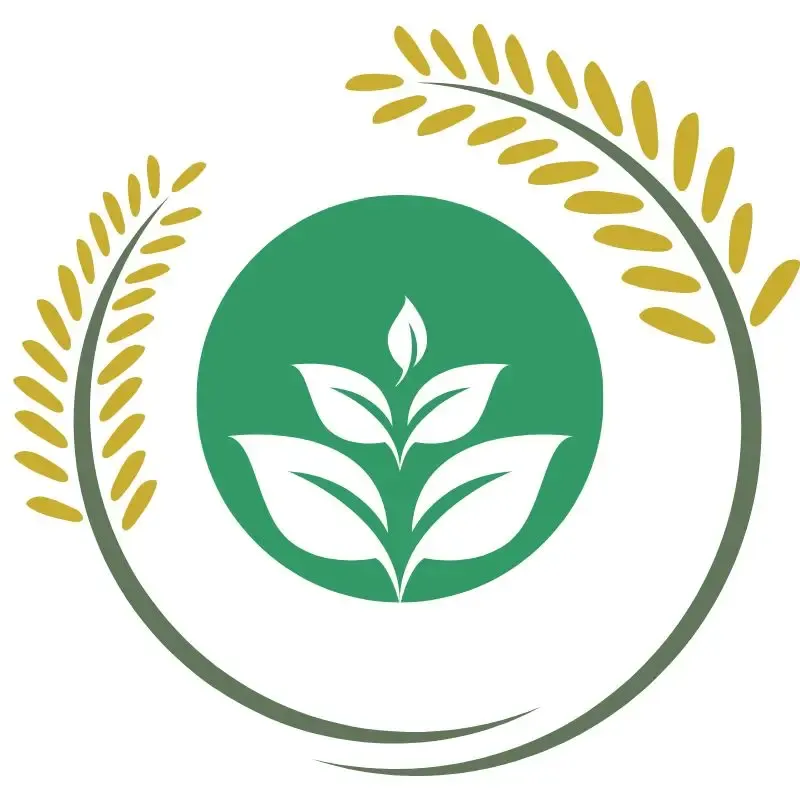 Plant-based diet for gut health and vibrant skin