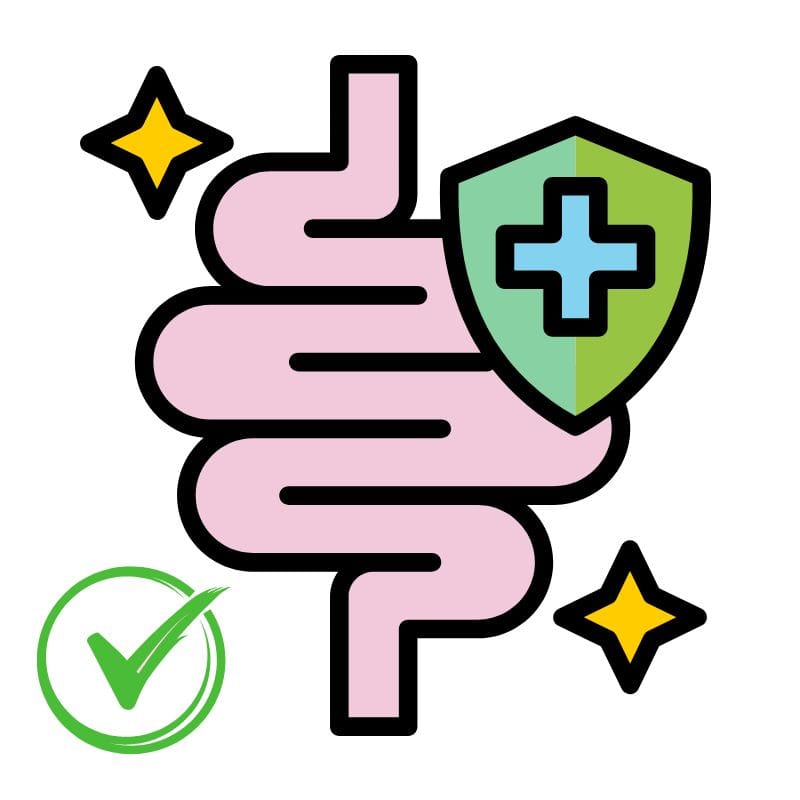 gut health in women over 50