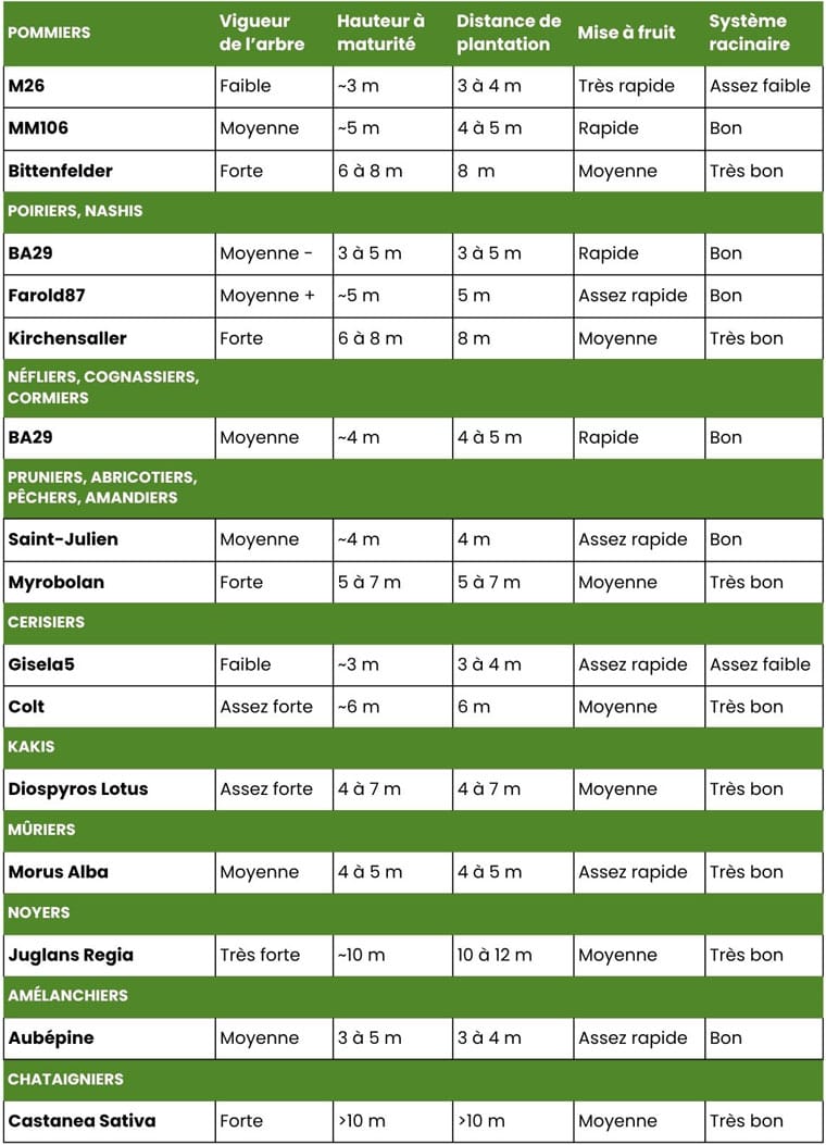 Tableau porte-greffes fruitiers