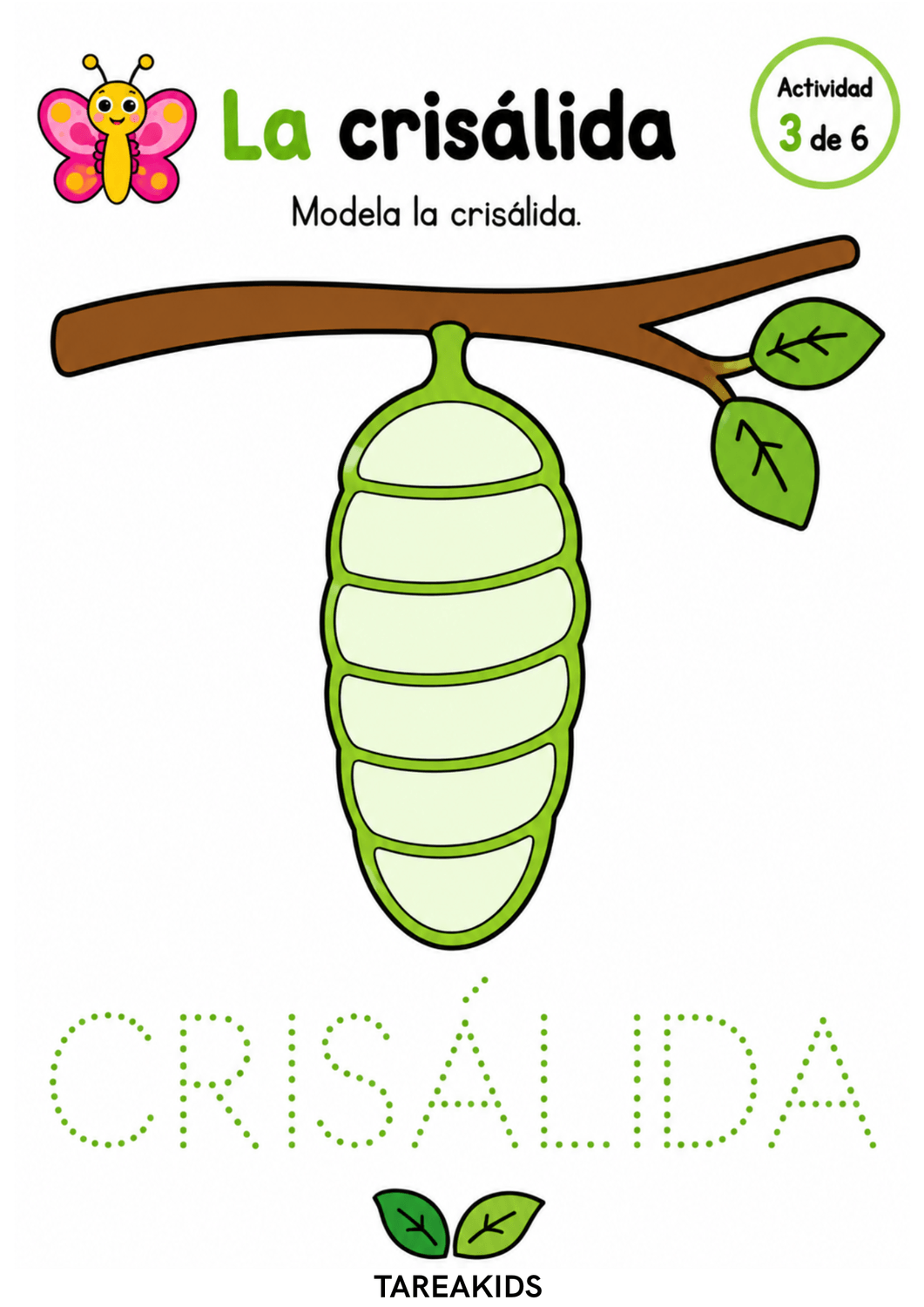 capullo colgado de una rama con segmentos para modelar