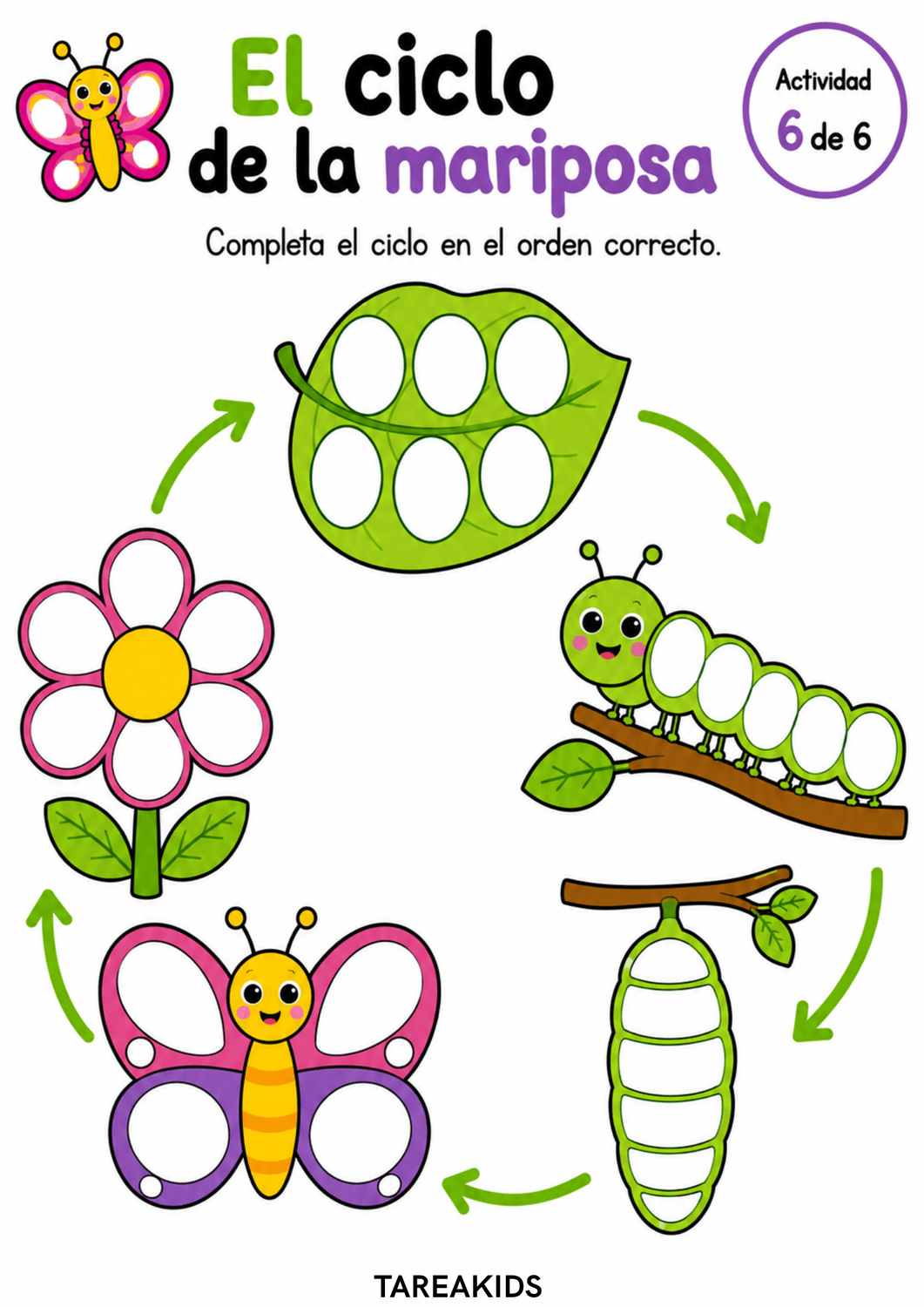 las cuatro etapas conectadas con flechas
