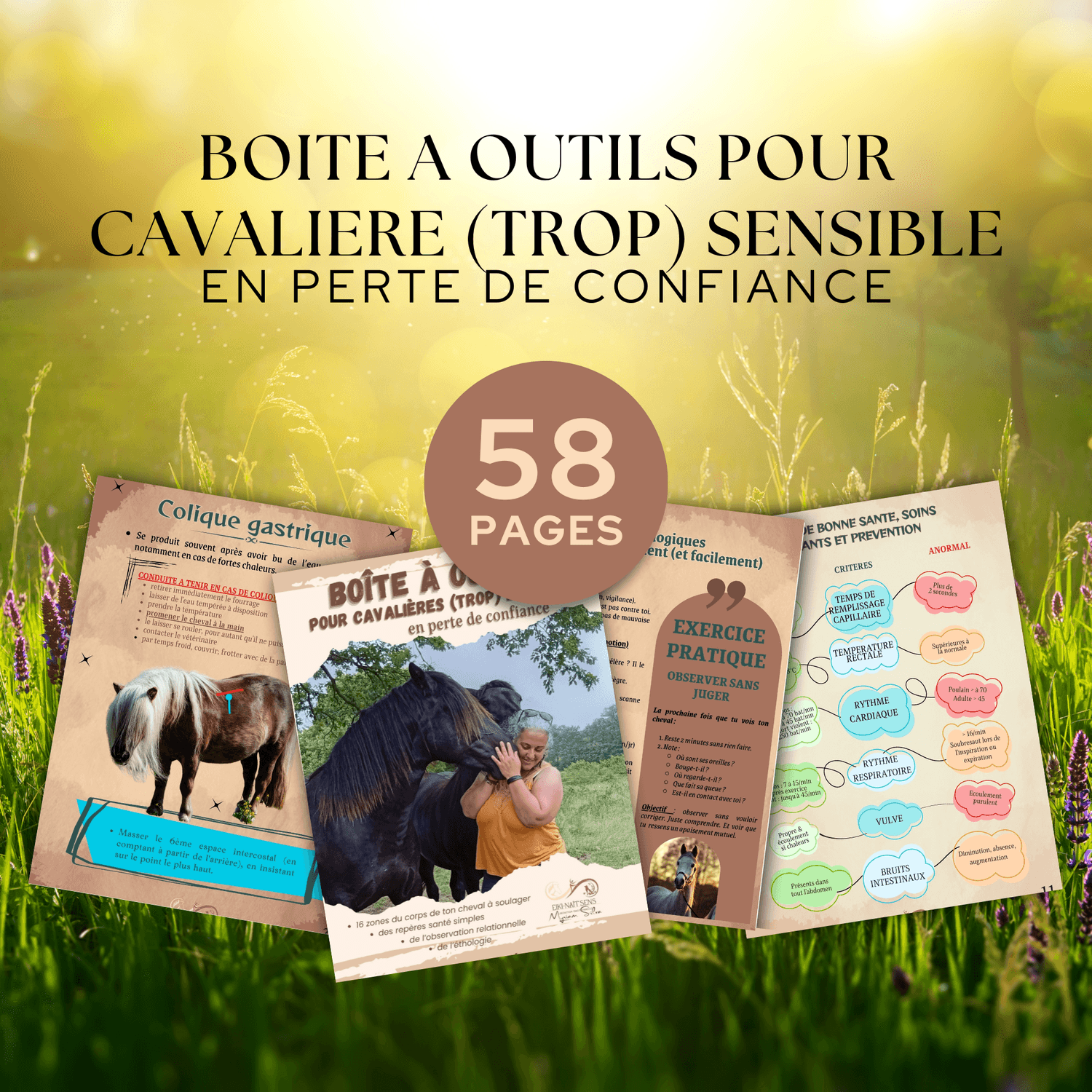 Boîte à outils pour cavalière (trop) émotive en perte de confiance