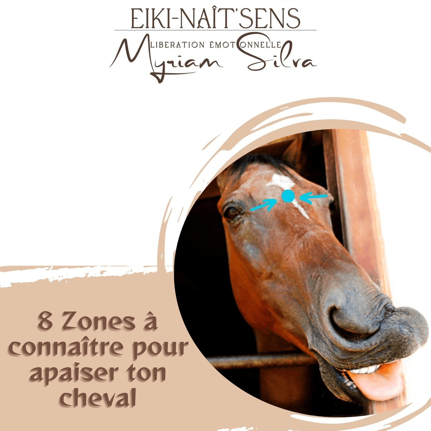OFFERT - 8 zones a connaître pour apaiser ton cheval