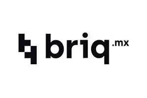 briq