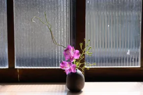 A small black vase holds an arrangement of purple flowers and green buds. The vase is placed on a wooden surface with sunlight streaming through a frosted glass window in the background, creating a serene and simple scene.