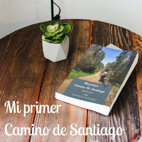 Mi primer Camino de Santiago
