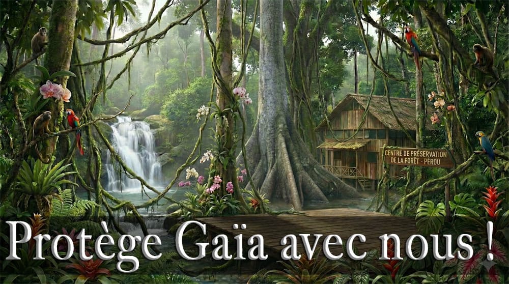 profil origine méthode anatman