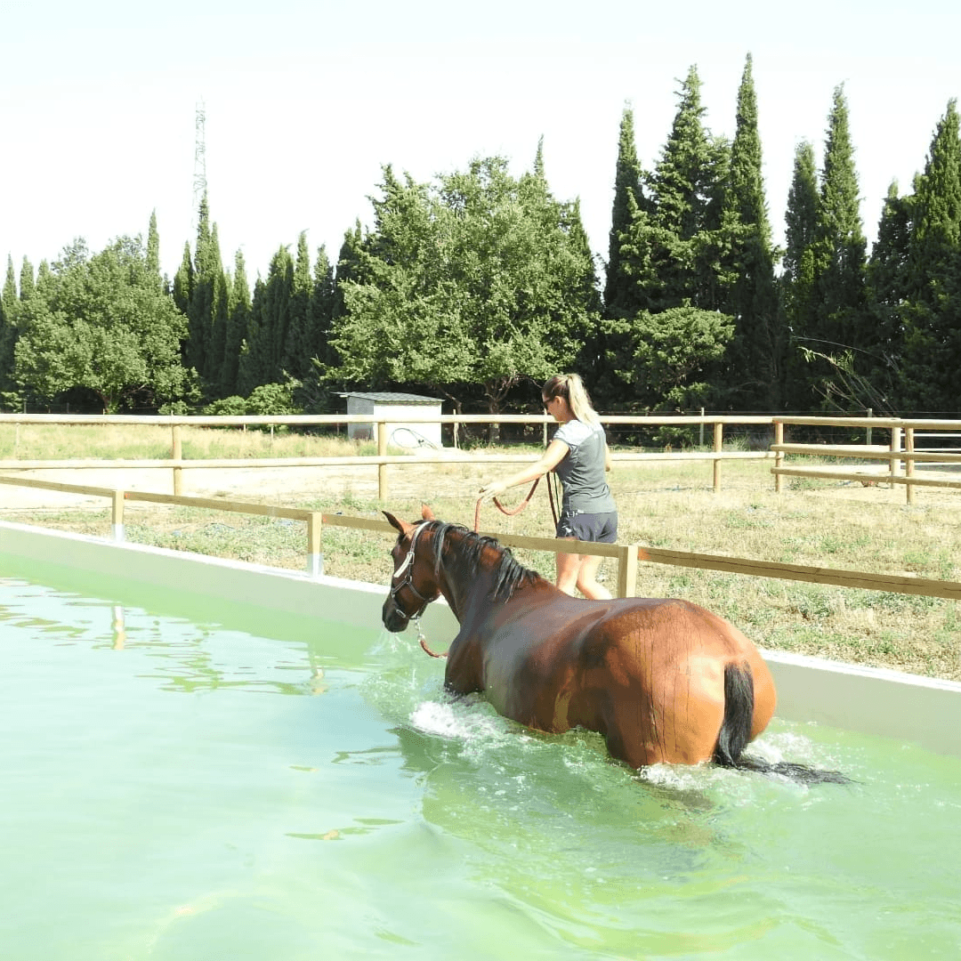 Formation Soins et Urgences
