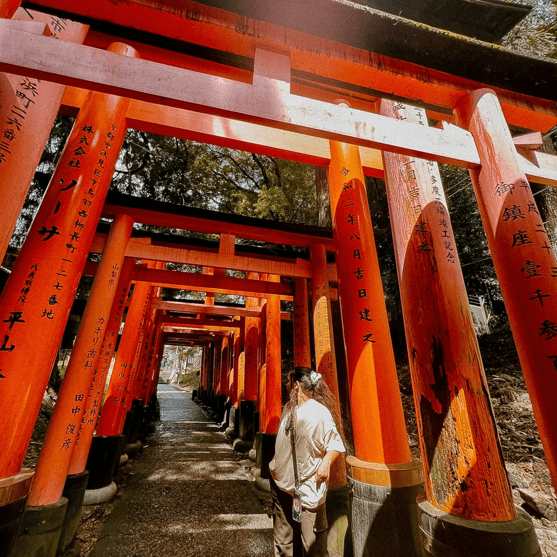 Guide et Itinéraire Japon 15 à 20 jours & conseils avant de partir