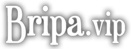 bripa.vip