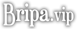 Bripa.vip