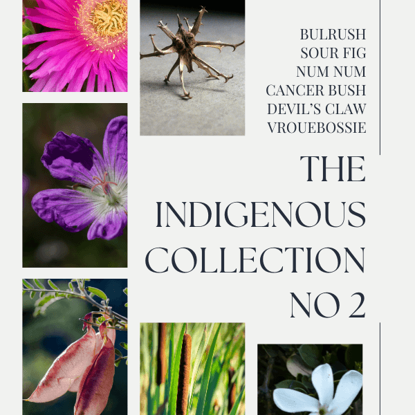 BHC Indigenous Collection 2