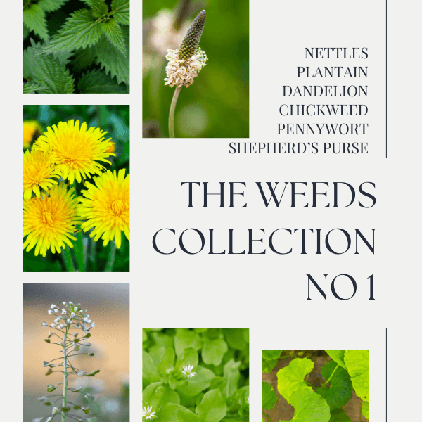 BHC - Weeds Collection No 1