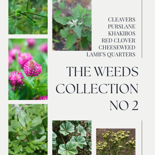 The Weeds Collection No 2