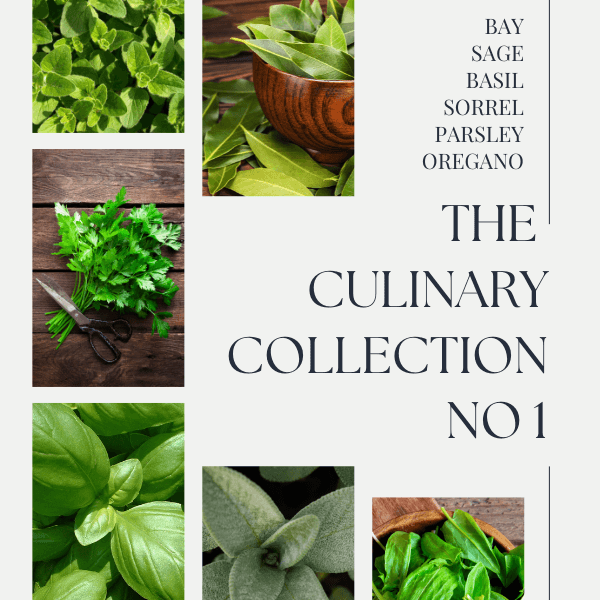 The Culinary Collection No 1